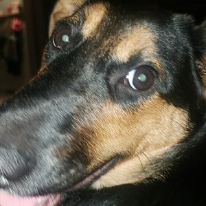 Meet your Posher, Sam